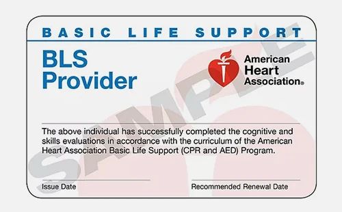 AHA  BLS基础生命支持培训认证